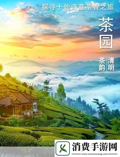 桃源深处有人家云岫峰茶园