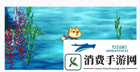 DNF2024年夏日套宠物属性怎么样2024年夏日套宠物属性介绍