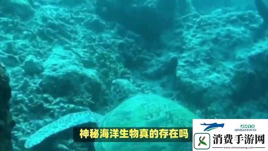 地心护核者荒野区深度鱼类探秘解锁并认识神秘水域的多样奇妙生物