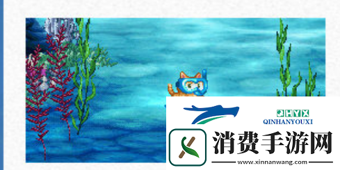 DNF2024年夏日套宠物属性怎么样2024年夏日套宠物属性介绍