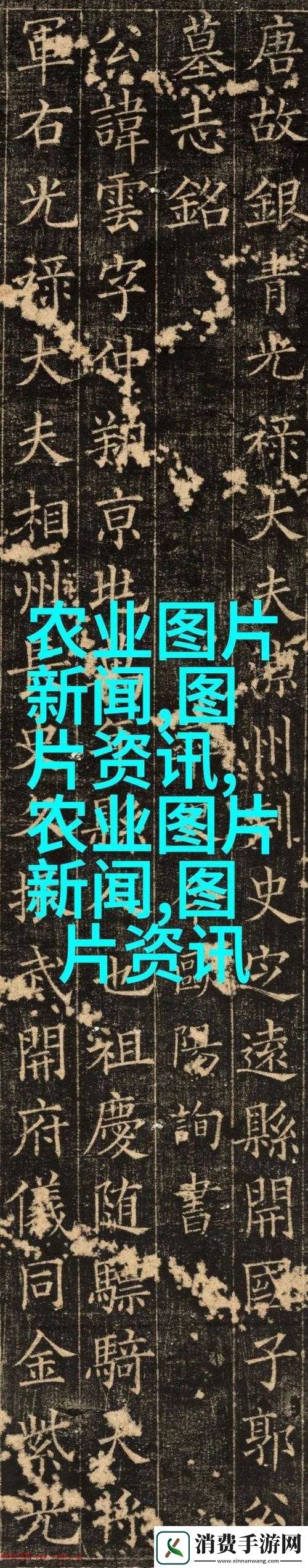 人与鲁交人鲁交人鲁交人鲁交