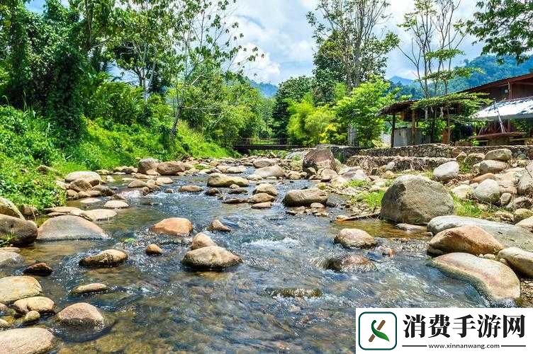 桃花洞口溪水潺潺深受广大友好评回应备受关注