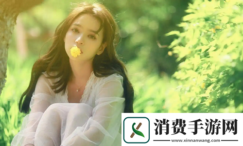 黄色视频在线观看免费