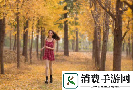 四叶草M码和欧洲码888