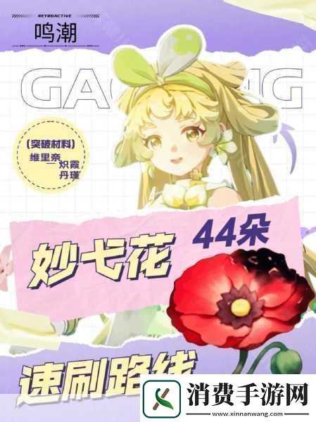 鸣潮珍珠草采集全攻略