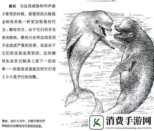 欧洲人物动物交互咬