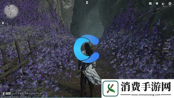 燕云十六声佛花与鼠每日任务玩法