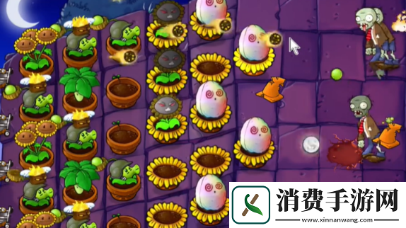 植物大战僵尸抽卡版冒险模式6