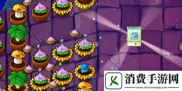 植物大战僵尸抽卡版冒险模式6