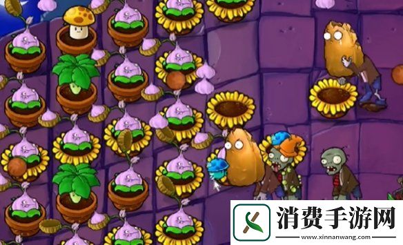 植物大战僵尸抽卡版冒险模式6