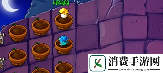 植物大战僵尸抽卡版冒险模式6