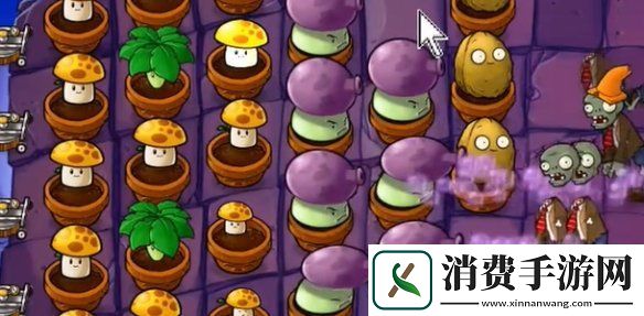 植物大战僵尸抽卡版冒险模式6