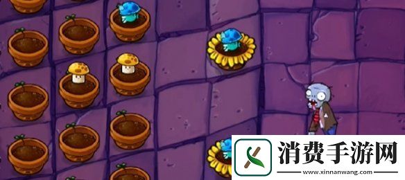 植物大战僵尸抽卡版冒险模式6