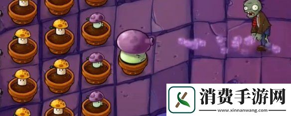 植物大战僵尸抽卡版冒险模式6