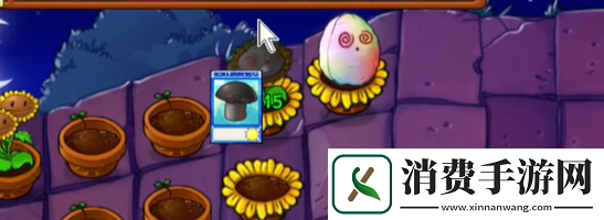 植物大战僵尸抽卡版冒险模式6