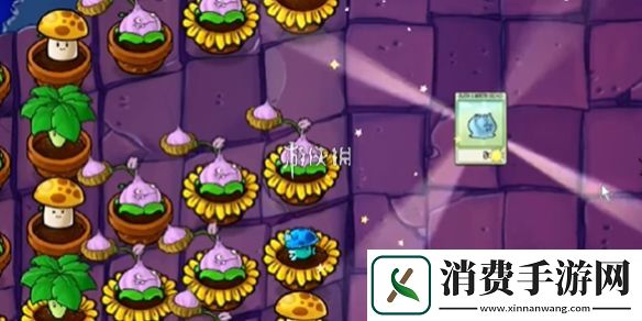 植物大战僵尸抽卡版冒险模式6