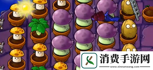 植物大战僵尸抽卡版冒险模式6