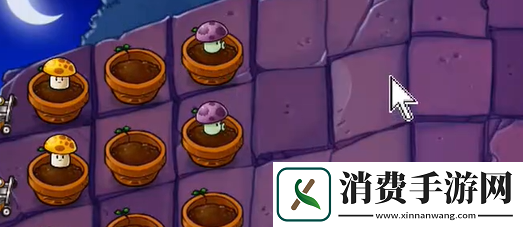 植物大战僵尸抽卡版冒险模式6