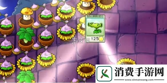 植物大战僵尸抽卡版冒险模式6