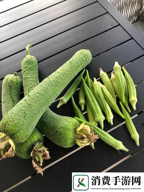 丝瓜芭乐荔枝秋葵免费汅