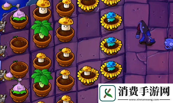 植物大战僵尸抽卡版冒险模式6