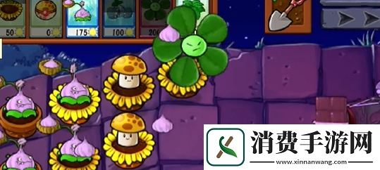 植物大战僵尸抽卡版冒险模式6