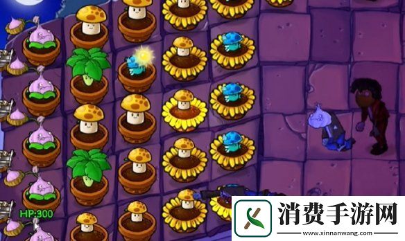 植物大战僵尸抽卡版冒险模式6