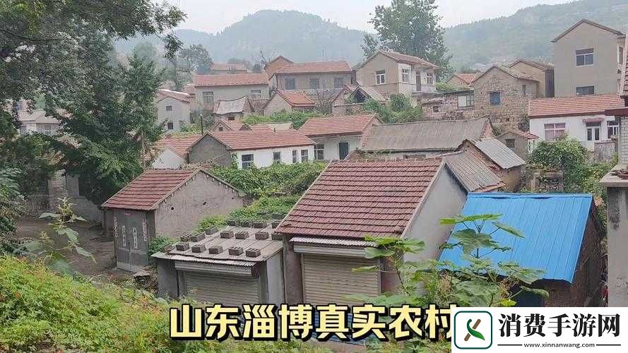 完整呈现性──交───乱乡村的真实面貌与深刻内涵