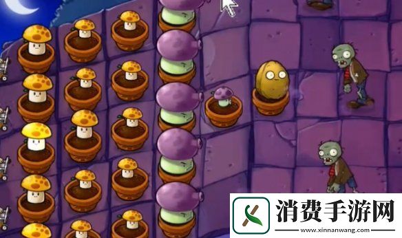 植物大战僵尸抽卡版冒险模式6