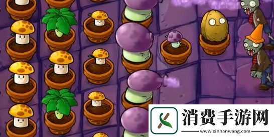 植物大战僵尸抽卡版冒险模式6