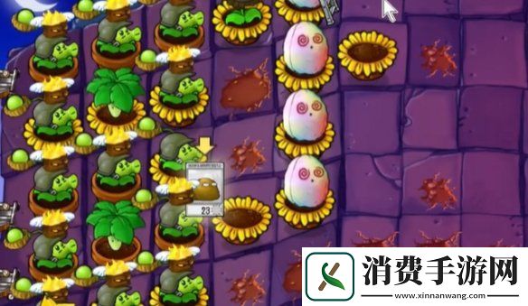 植物大战僵尸抽卡版冒险模式6