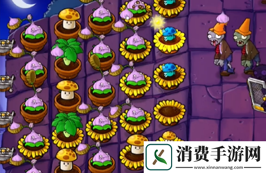 植物大战僵尸抽卡版冒险模式6