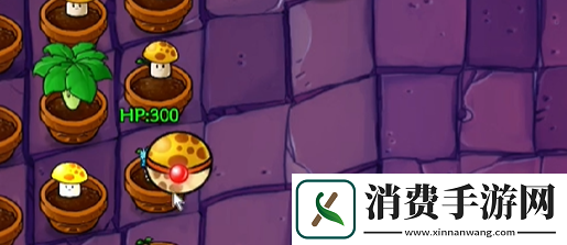 植物大战僵尸抽卡版冒险模式6