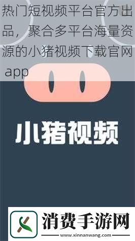 热门短视频平台官方出品聚合多平台海量资源的小猪视频下载官app