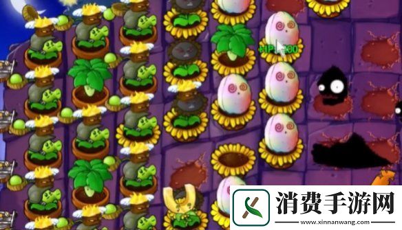 植物大战僵尸抽卡版冒险模式6