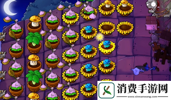 植物大战僵尸抽卡版冒险模式6