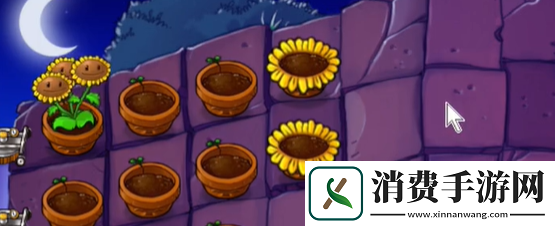 植物大战僵尸抽卡版冒险模式6