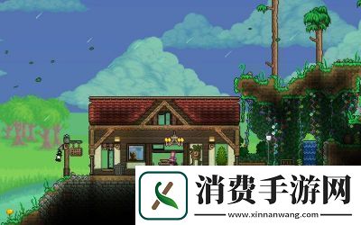 泰拉瑞亚房屋的最小规格是多少