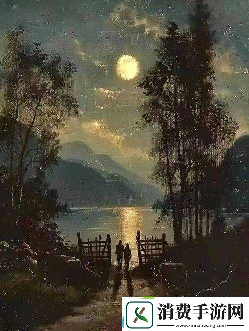 月色网之静谧夜色下的独特魅力探索