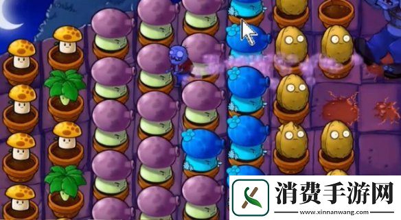 植物大战僵尸抽卡版冒险模式6