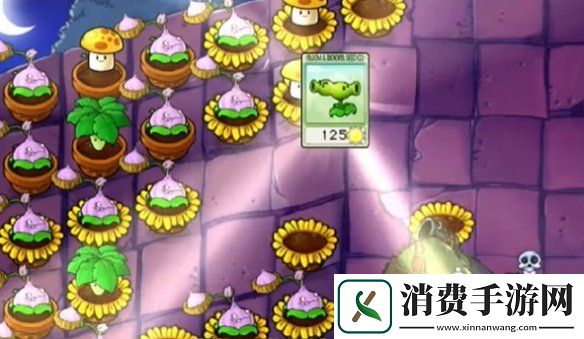 植物大战僵尸抽卡版冒险模式6