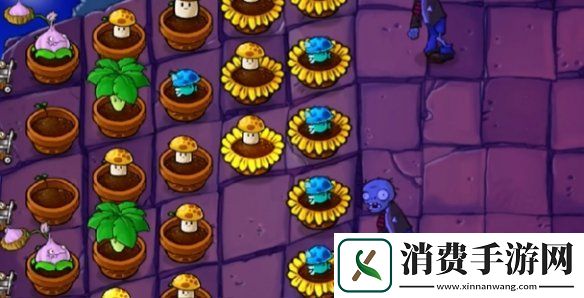 植物大战僵尸抽卡版冒险模式6