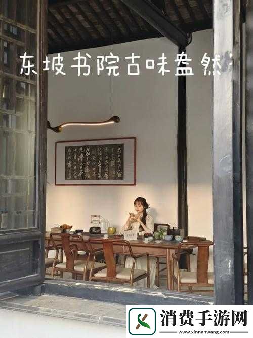 书院风云人物解析