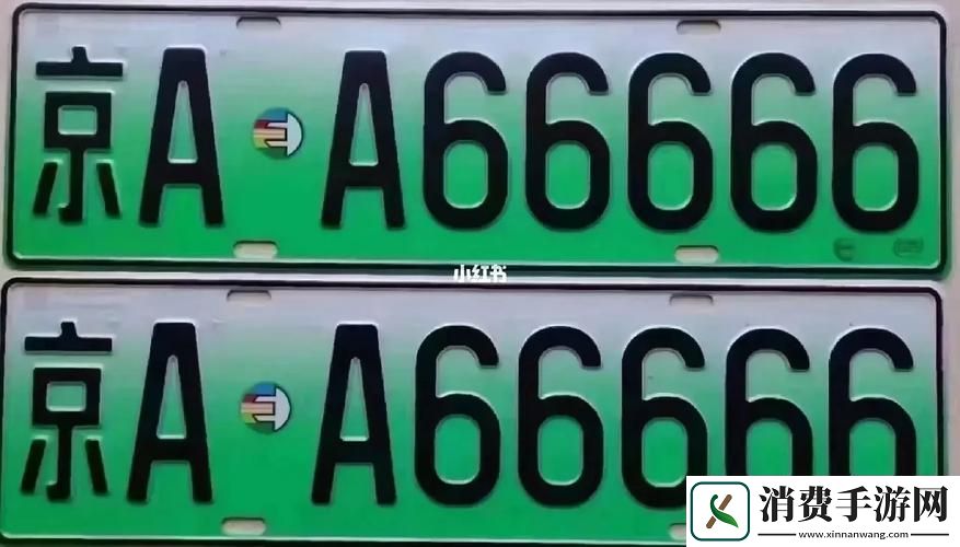 新深入解析精华区二区区别88888的核心要素