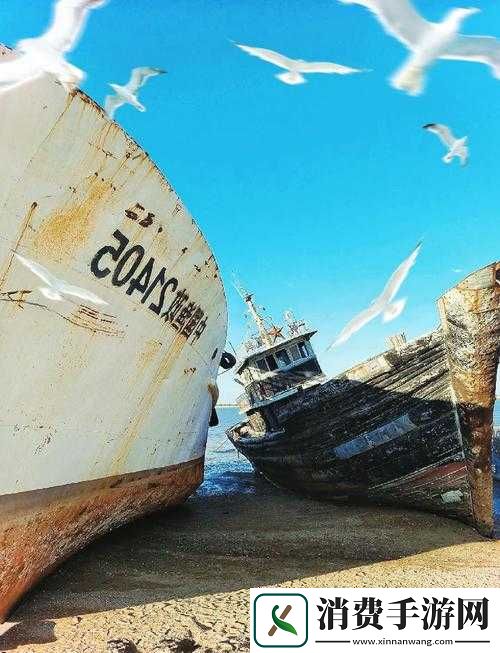 怡红宛一二三四五