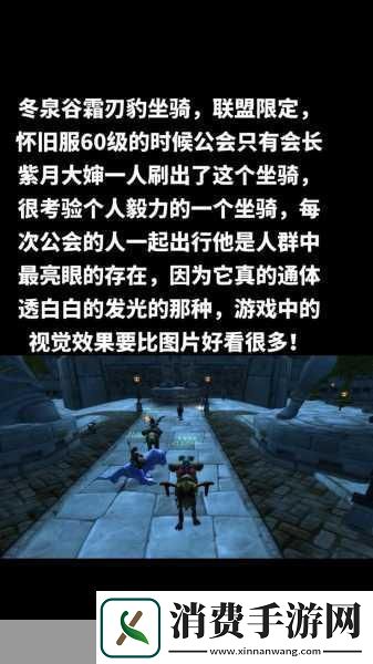 魔兽世界冬夜梦刃豹坐骑