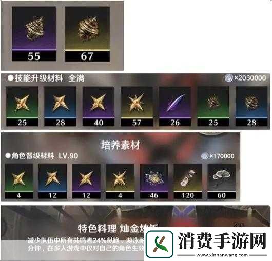 鸣潮吟霖角色养成全攻略