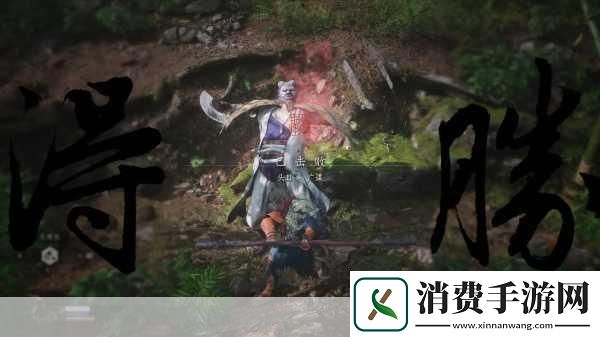 风灵月影未启动游戏难题