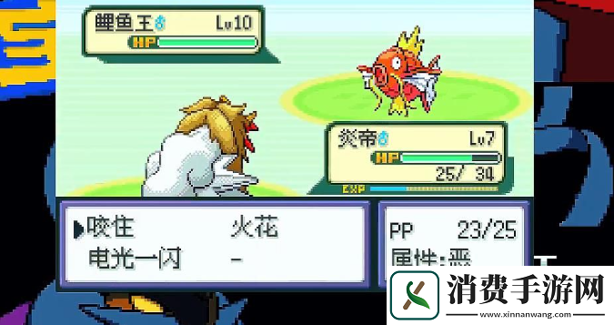 宝可梦神话传说游戏怎么玩