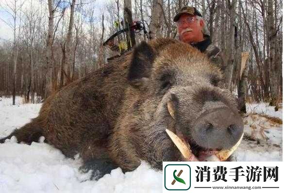 震惊人与兽竟然在野外做出这种事